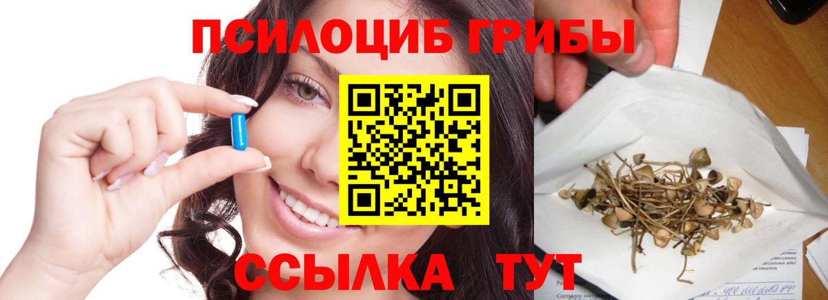 Галлюциногенные грибы мицелий  цены наркотик  Королёв  Псилоцибиновые грибы GOLDEN TEACHER  Вход с VPN 