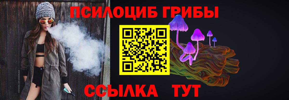 Галлюциногенные грибы Cubensis Королёв